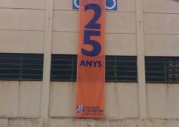 ACTE 25 ANYS CEO - 1