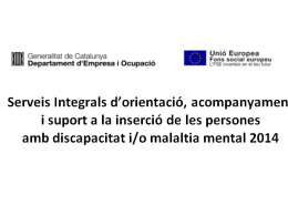 SubvencióSEFI