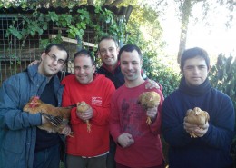 Amics Gallina Pairal