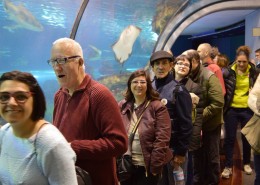 VisitaAquarium_4