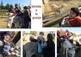 granja_casanostra_excursió