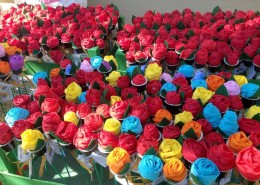 sant jordi 2017_llar santa maria