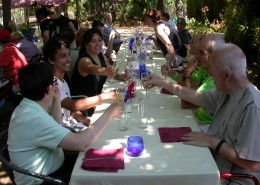 LES SURERES_SANT JOAN 2017