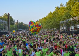 Dissantes 2017_paco 1