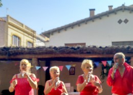concert_l'alegria dels avis_santa maria 4