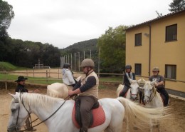 Teràpia de cavalls 03