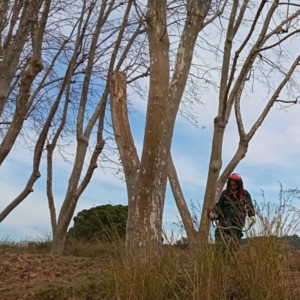 licitacio-manteniment-zones-verdes-arenys-de-munt_CEO-DEL-MARESME_jardineria-2