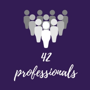 42 professionals cdiap maresme