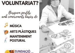 voluntariat envelliment actiu