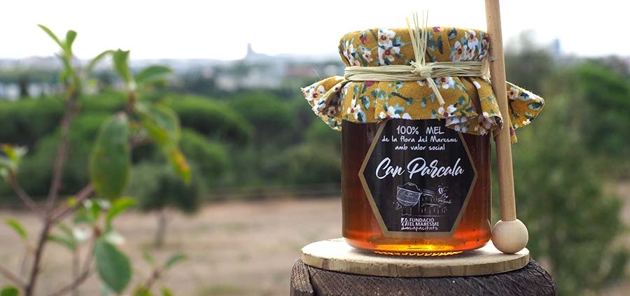 20210930_124354_LOT POT 150G AMB CULLERA_roba verda amb flors_fons can parcala