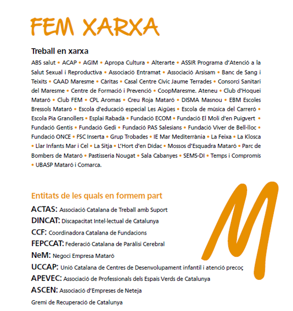 fem xarxa 2020