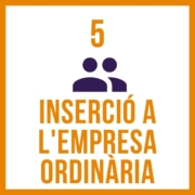 inserció empresa ordinària_sefi